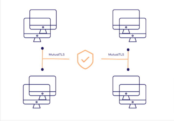 Sécurité-de-données-mutualTLS Securité des données par stockage distribué avec communication MutualTLS