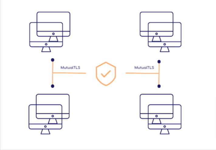 Securité des données par stockage distribué avec communication MutualTLS